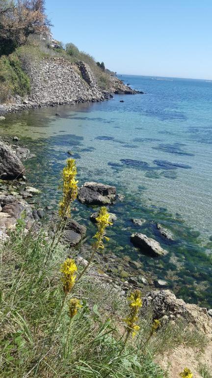 Apartments Provence Sozopol Zewnętrze zdjęcie